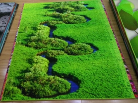 尼龙3D印花地毯